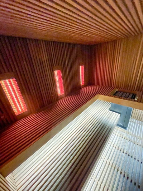emetteurs infrarouges sauna